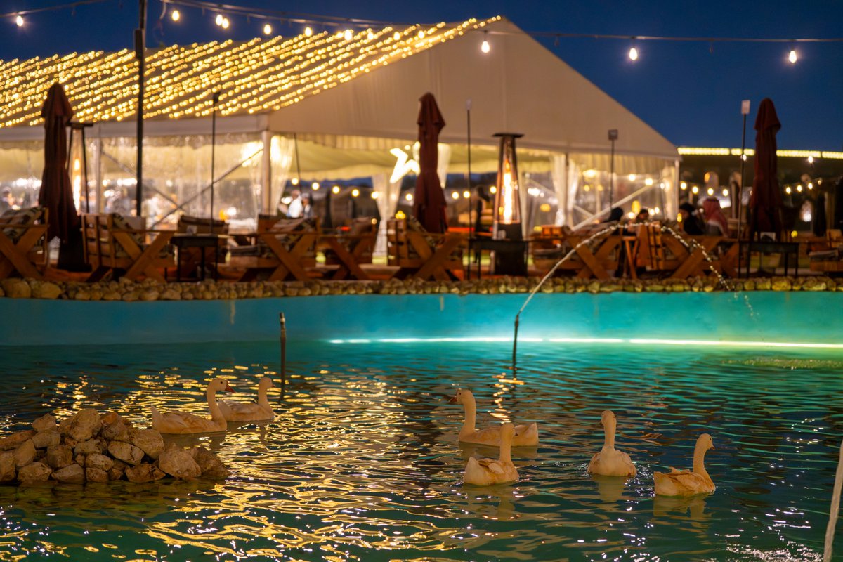 avindar | أفندار tweet media