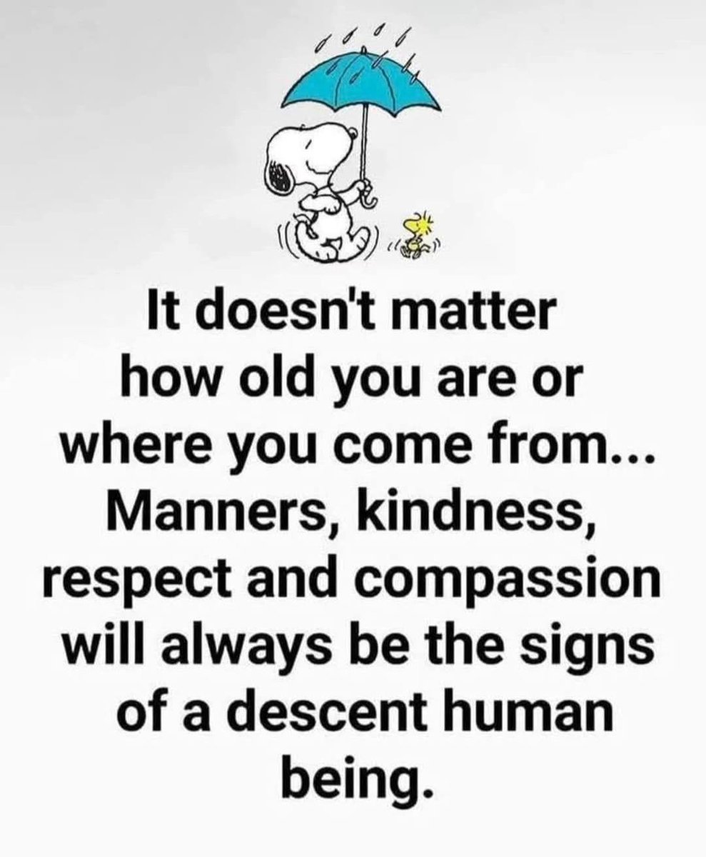 The Cat Corner (@cat_corner123) on Twitter photo 