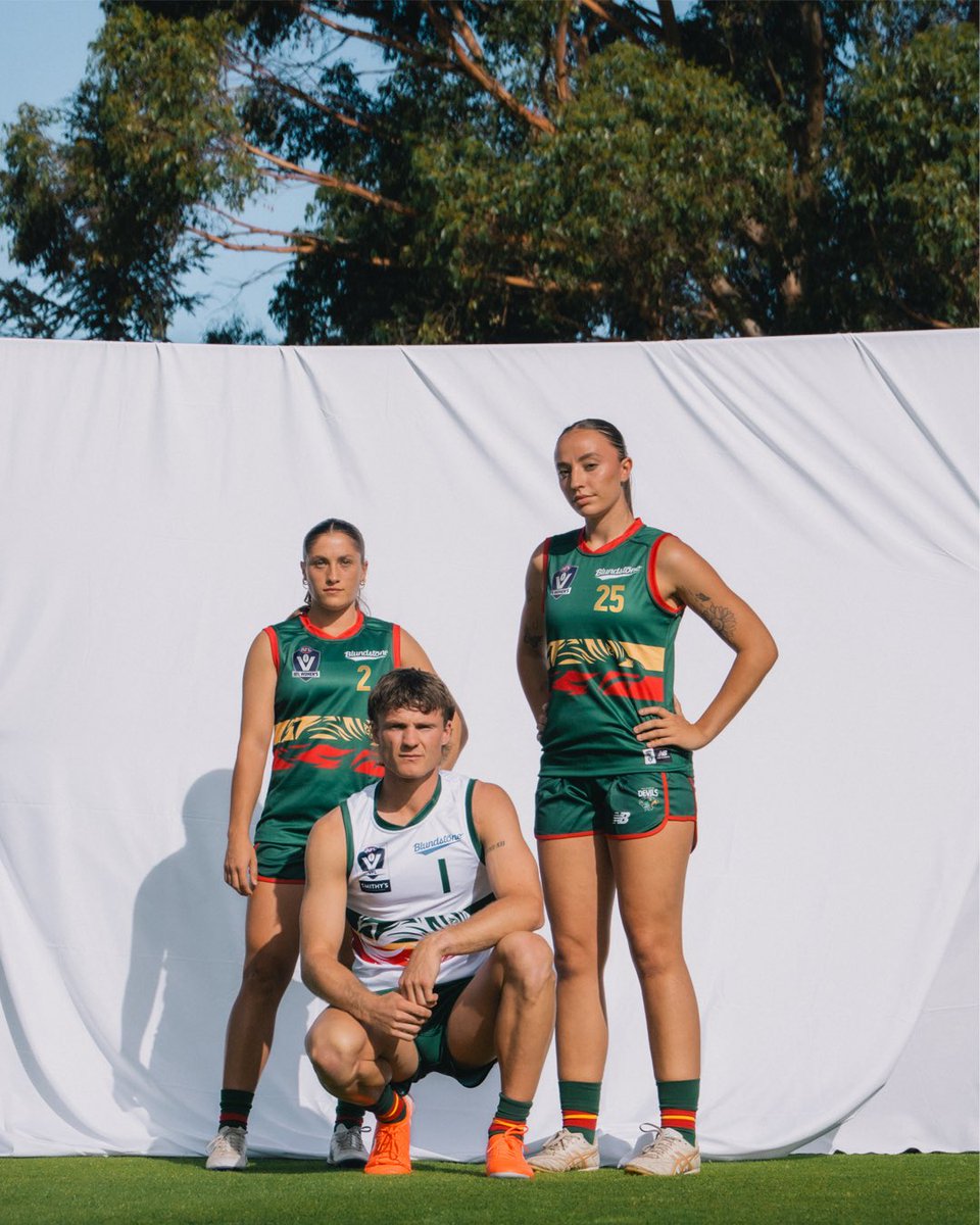 Tasmania Football Club tweet media