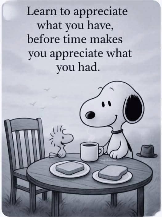 Snoopy Lover 🐾 tweet media