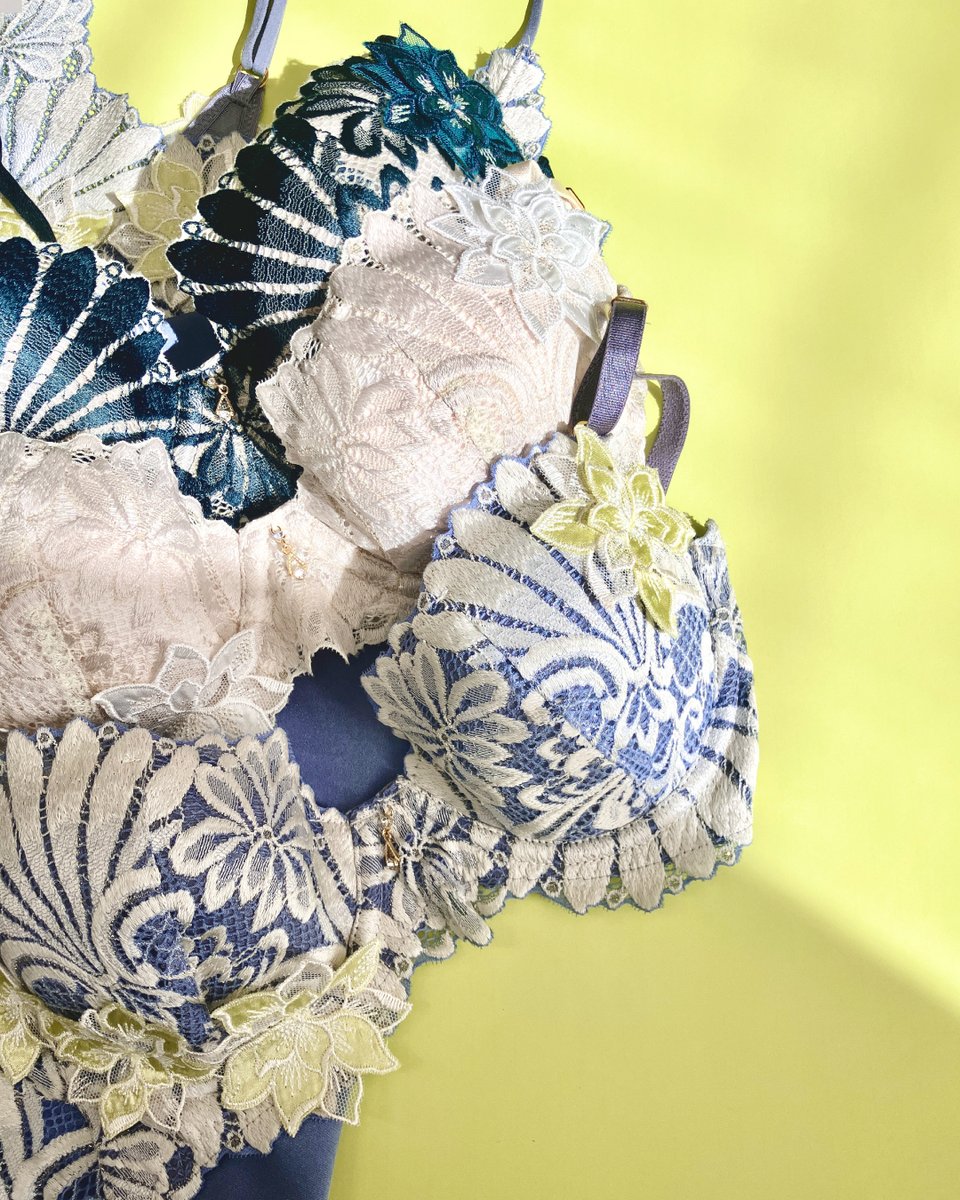 AMPHI／アンフィ tweet media