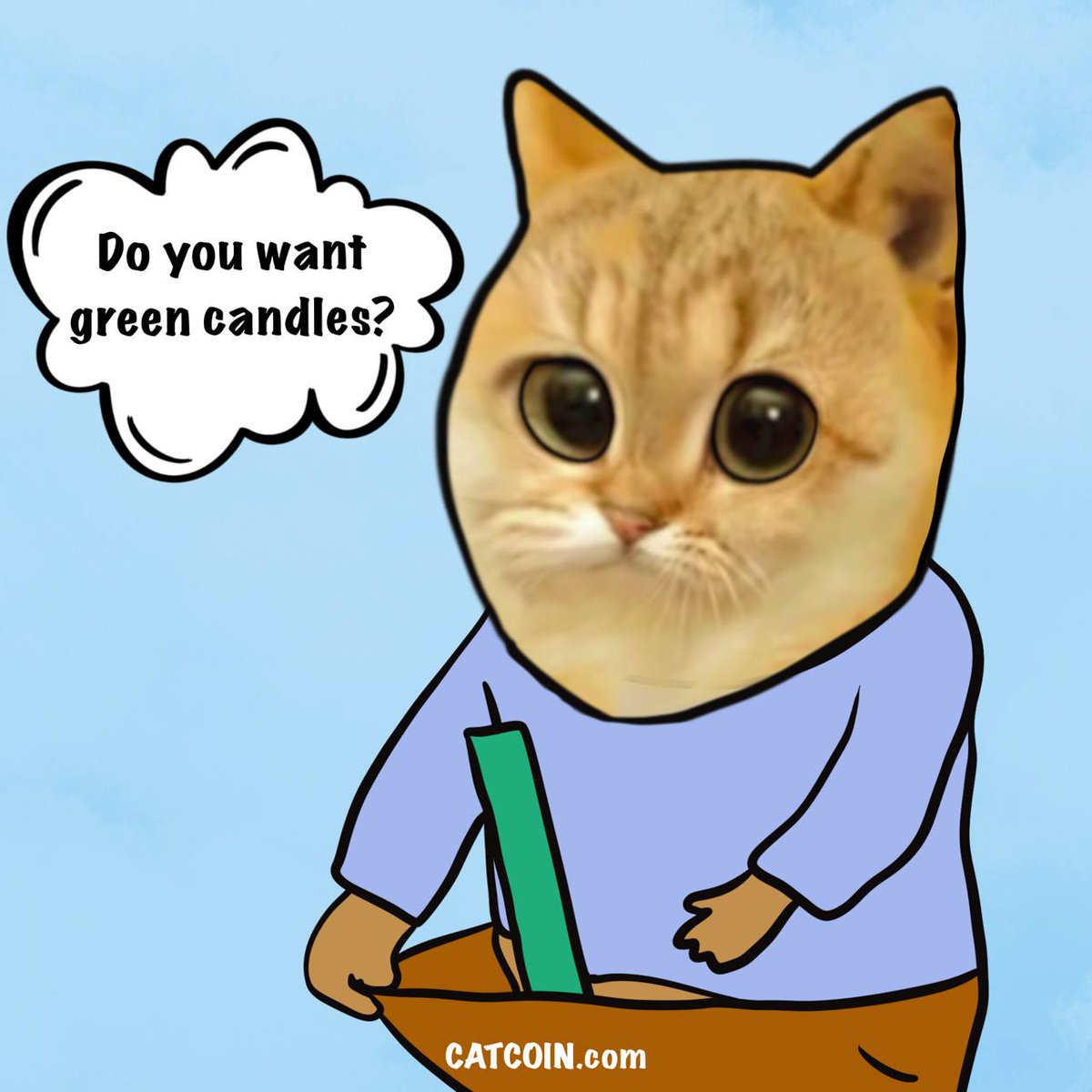CatCoin tweet media