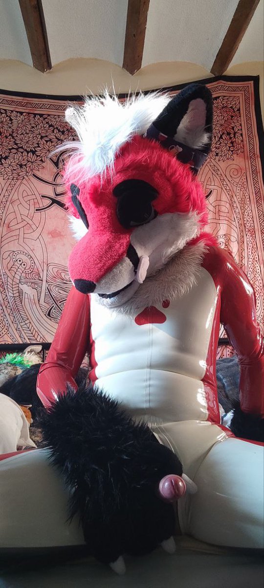 Andrew RubberFox 🔜 tweet media