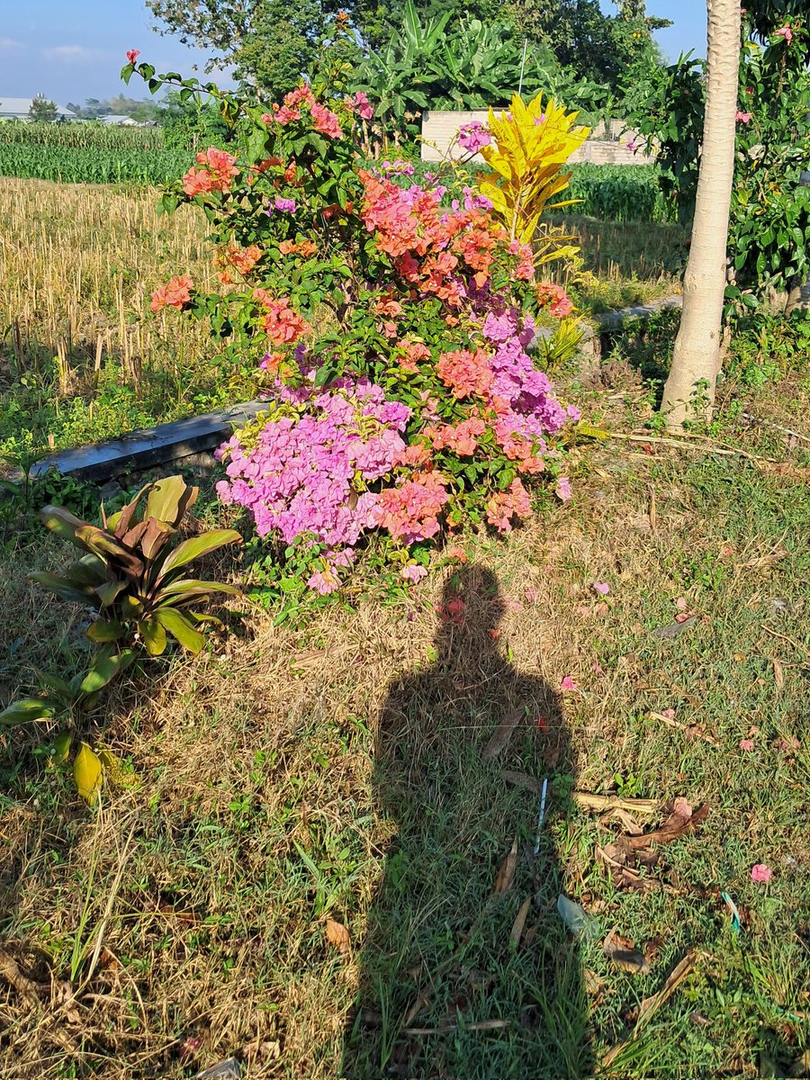 Aktivitas di outdoor kayak jogging suka bikin parno sama bau badan dan keringat. ☀️ Salah satu andalanku itu Antiperspirant Bodify Fresh Pits ini! <a href="/Bodify_id/">BODIFY</a>

Jujur, ini nahan keringat banget, wanginya fruity, dan gak lengket 
 
So worth it to buy
🌸s.shopee.co.id/4VXSoeRfRU