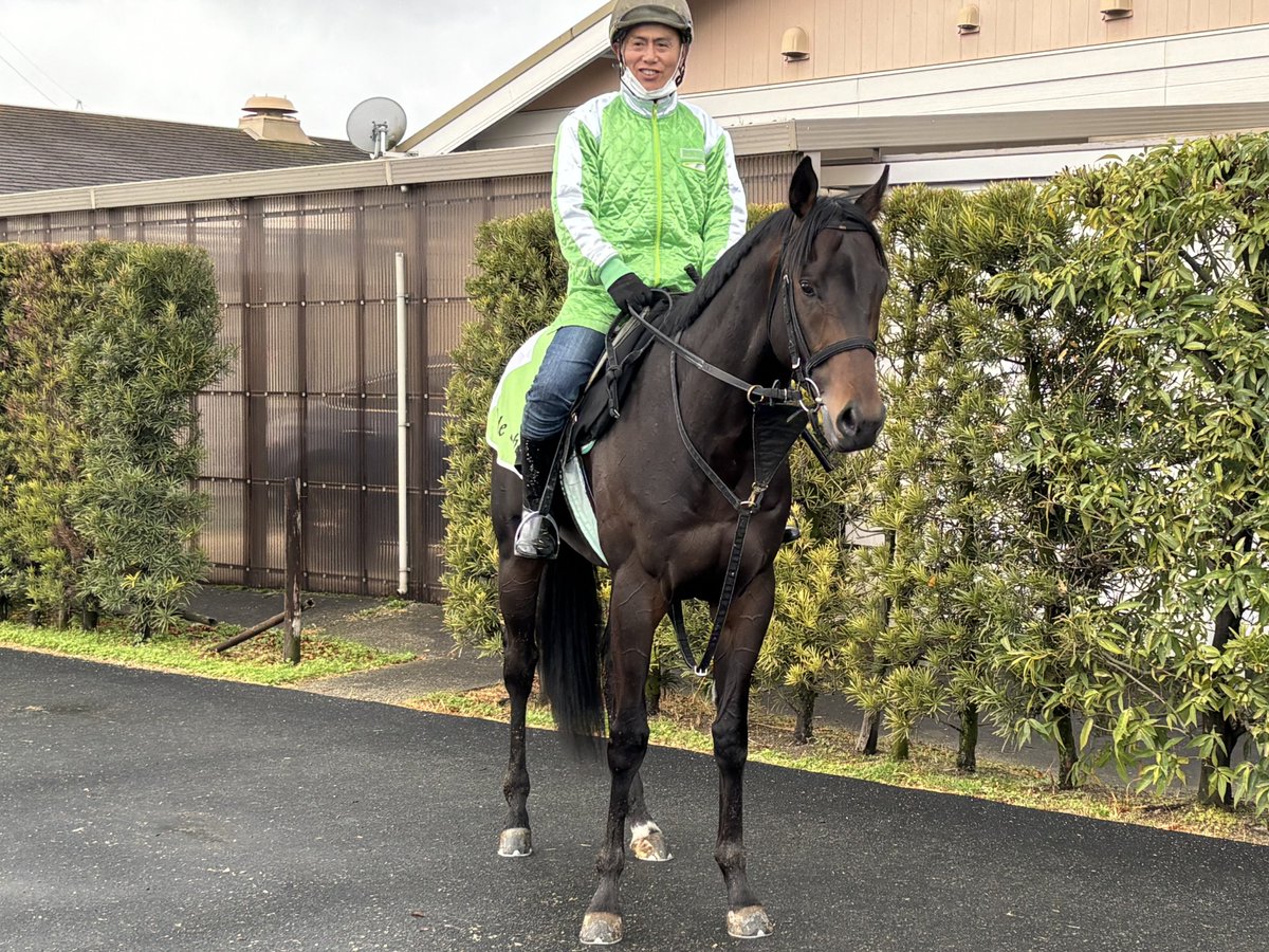 Post by 川崎バルビゾン（旧姓KAWASAKI142016） on X: かこいー！