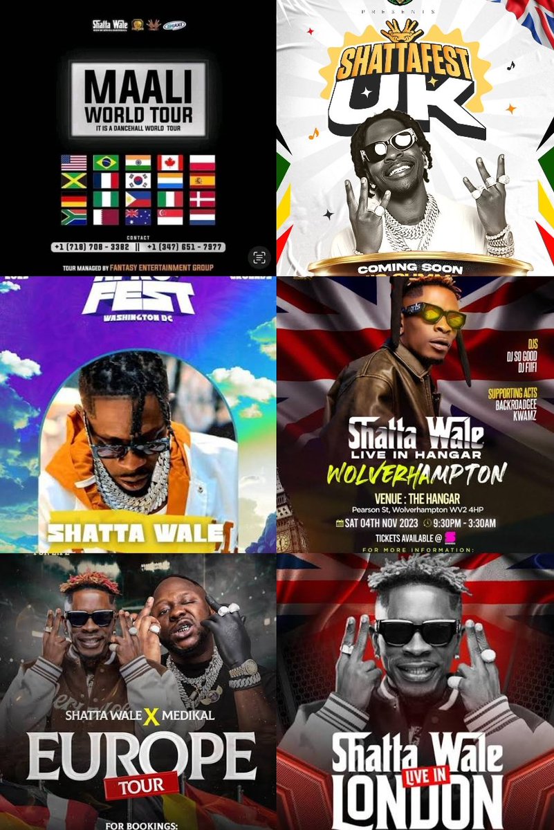 Teekay 🦍 tweet media