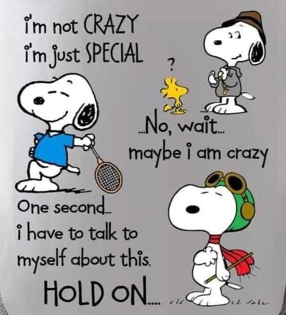 Snoopy Lover 🐾 (@snoopylove49i) / Posts / X