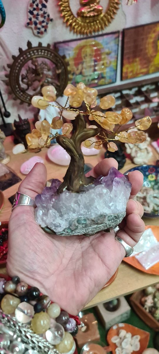 decoretnia's tweet photo. Decoretnia #Benidorm y Nucia podras conseguir este #Arboldevidacitrino con la Madre de tierra de #Amatista #Protección #Armonia Estabilidad y las hojas de #Citrino #Prosperidad #Abundancia #Fortuna llevalo a tu hogar y que cree cosas bonitas en tu camino de vida
Namaste 🙏 🕉 🌈 https://t.co/eW8kHOGfmg