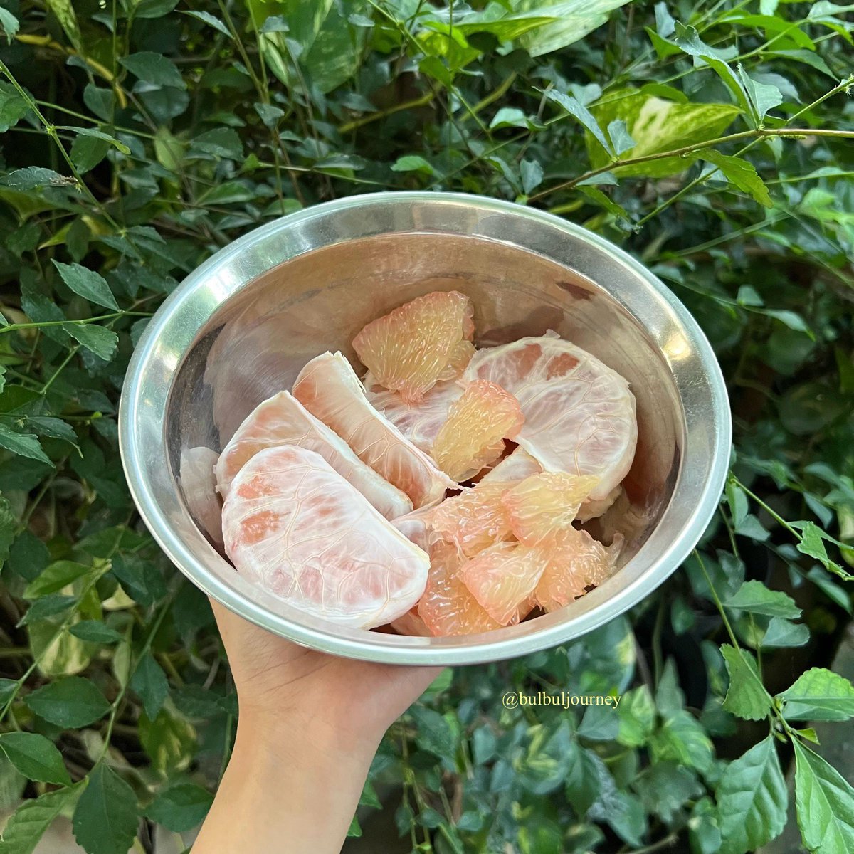 Buah segar dari kebunku yang ditanam dengan penuh cinta dan usaha. 🍅🥑🍊🌱