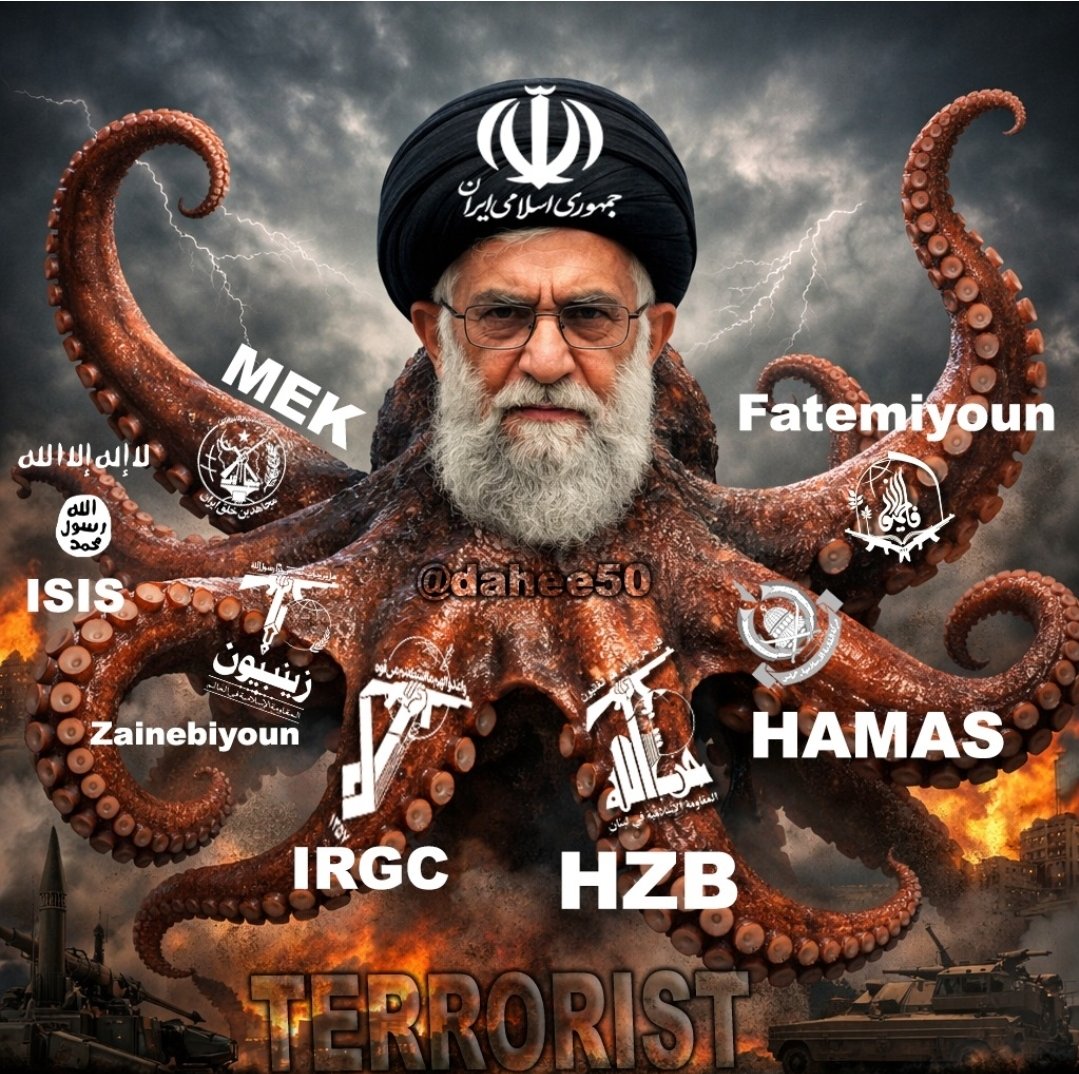mojgan haghighat (@M80810Mojgan) / Posts / X