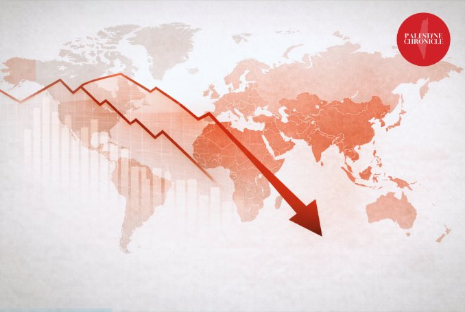 Patricia Marins tweet media