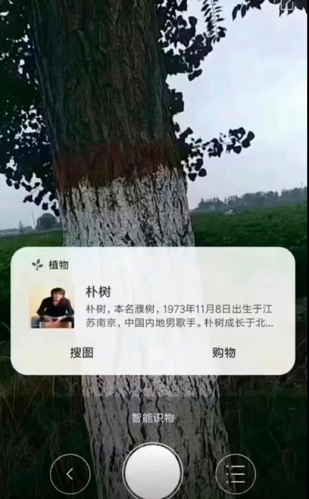 夜之城鼠鼠 tweet media