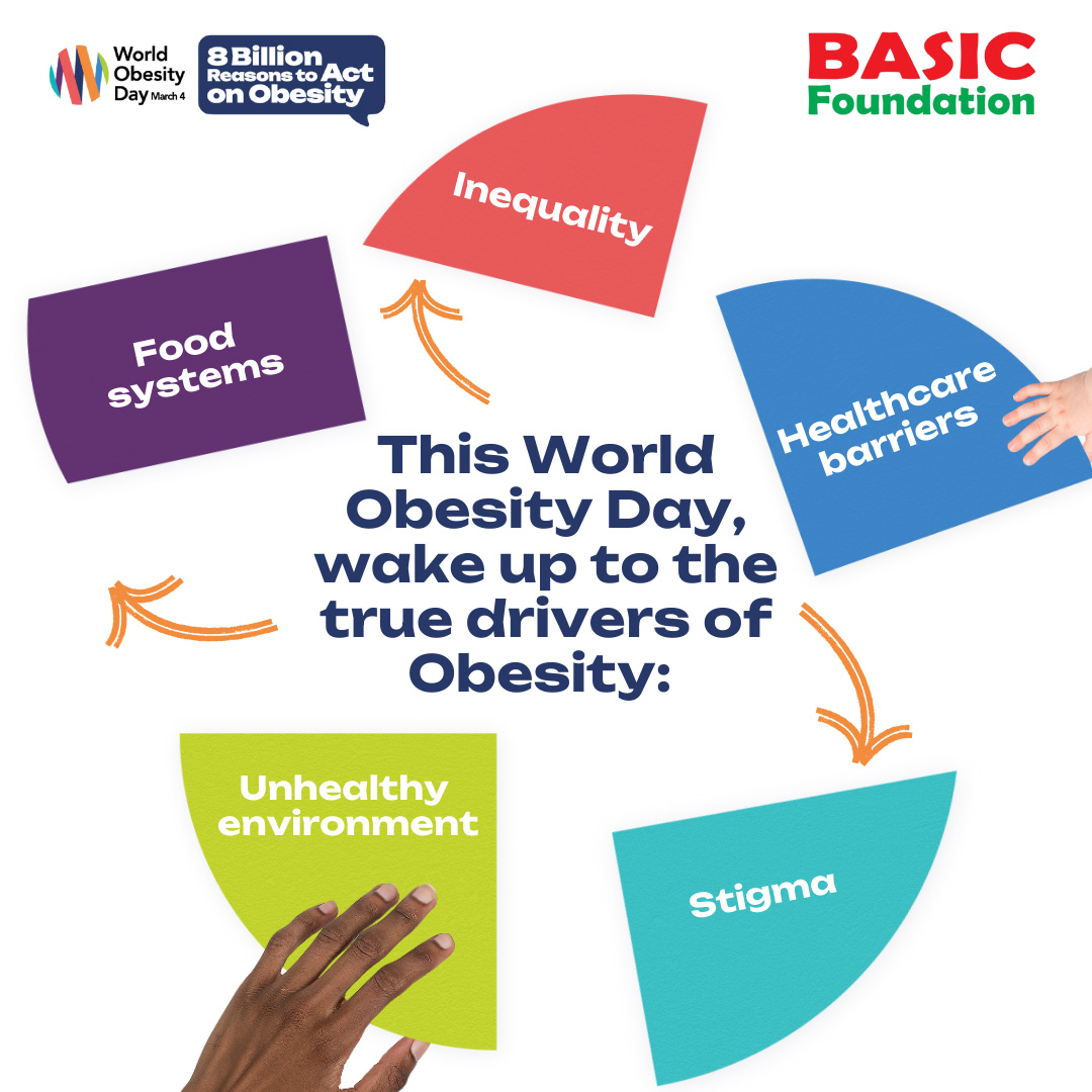 Basic Foundation tweet media