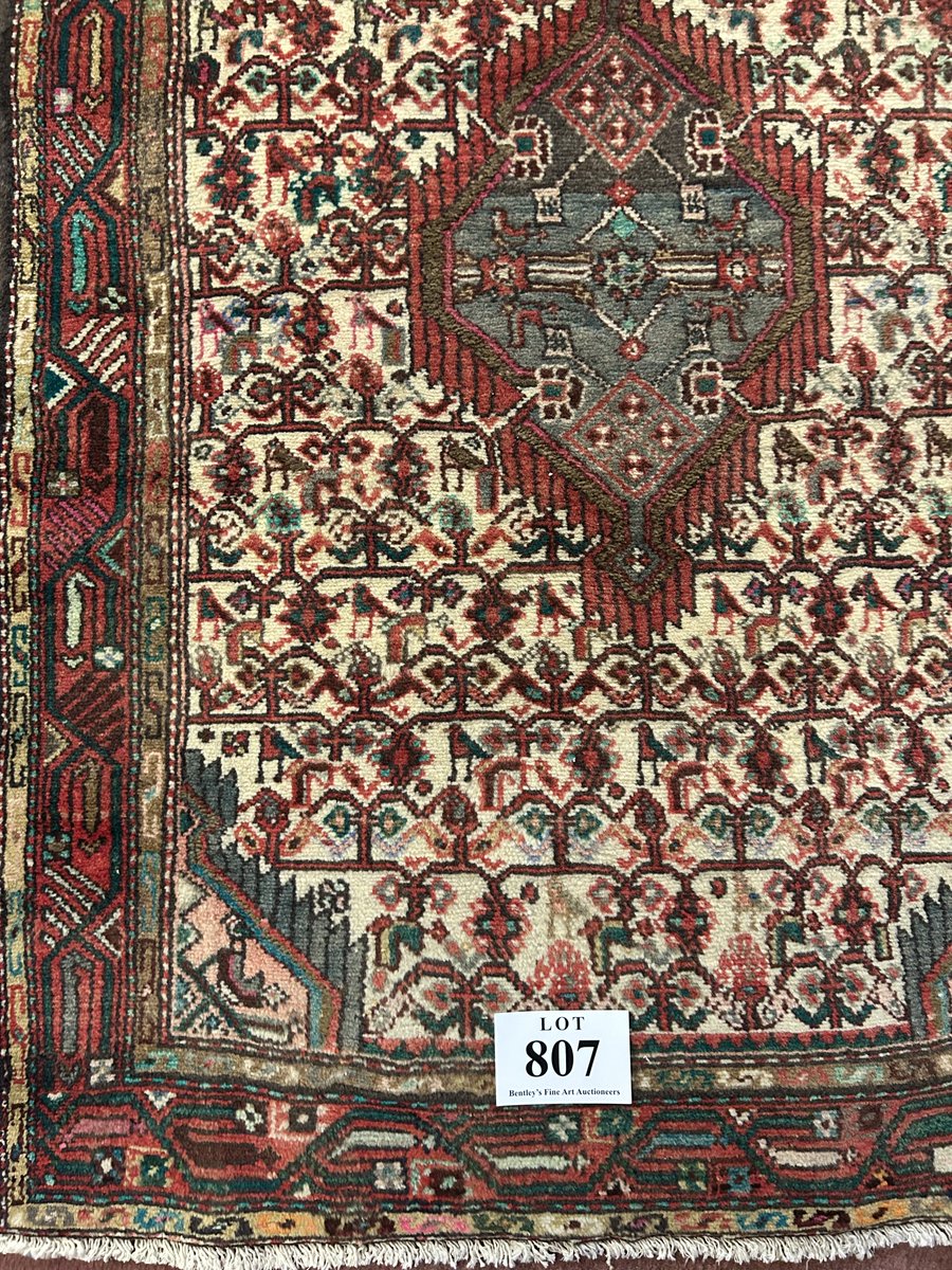 Mark Foster tweet media