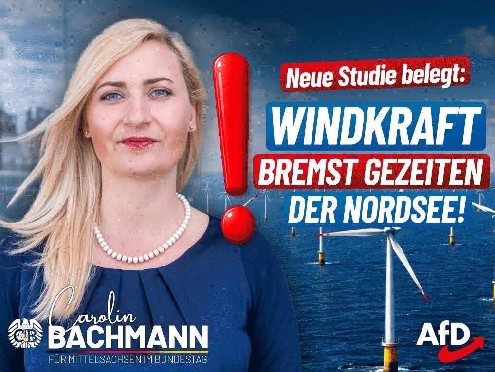 Littlewisehen tweet media