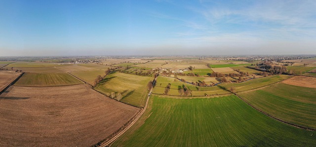 Seth Pace tweet media