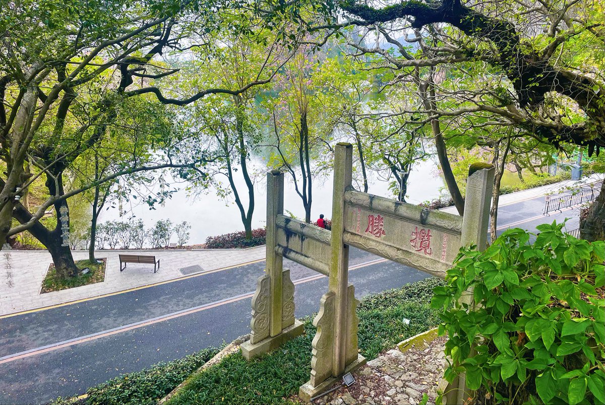 小蜜蜂 tweet media