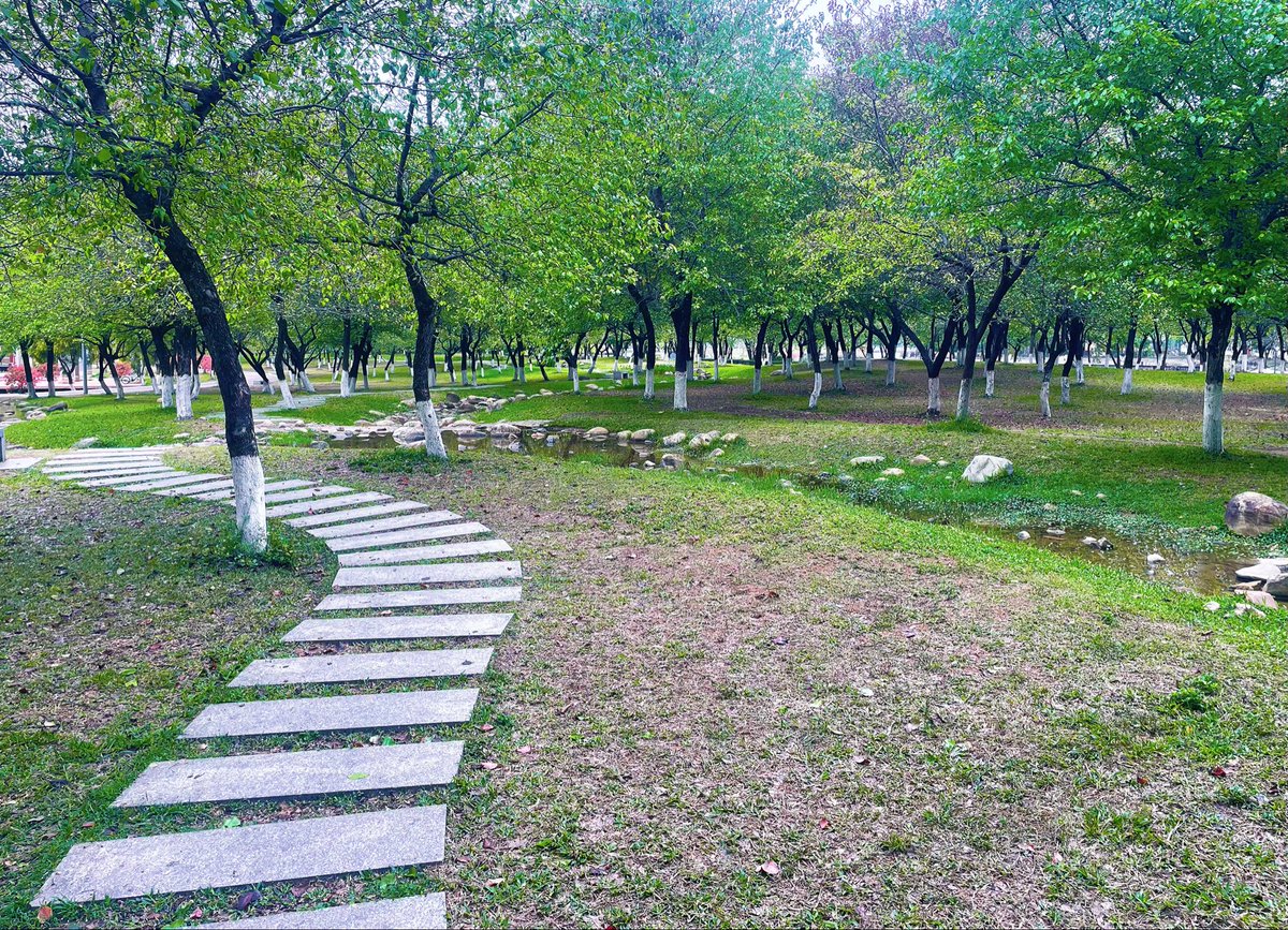 小蜜蜂 tweet media