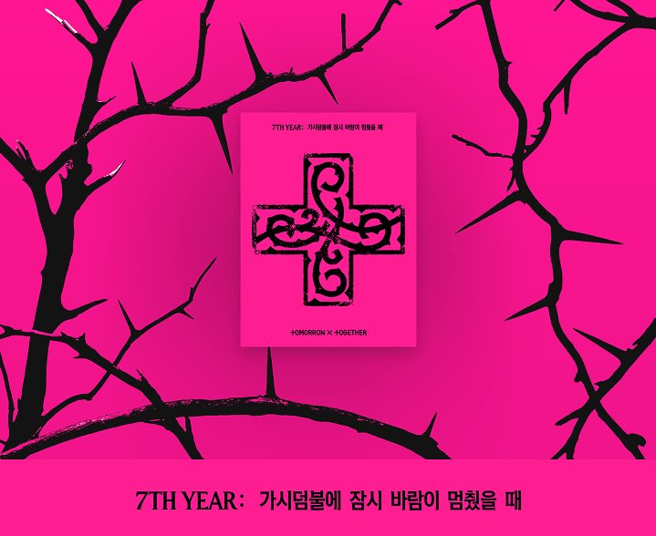 아이라 ๑ {slow replies} tweet media