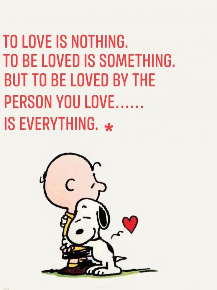 Meow & Magic (@mmeow_magic) on Twitter photo 