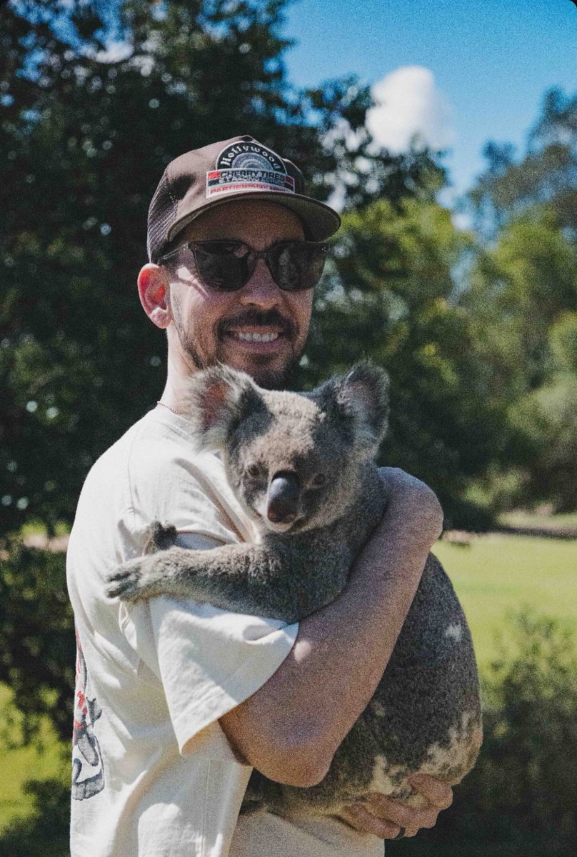 BroodingAnanas's tweet photo. now that’s the “Linkin Park in Australia” content we signed up for🐨 https://t.co/Z0j2IQMlx4