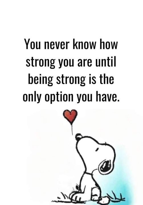 Snoopy Vibes tweet media