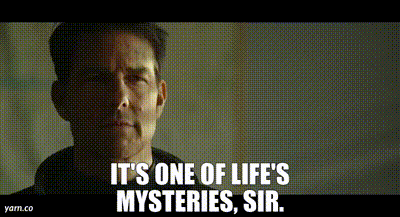 Tim Robinson tweet media