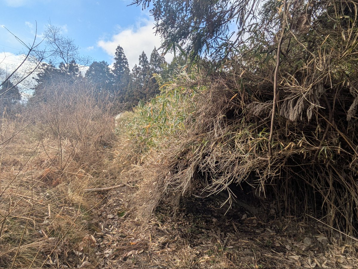 春の陽気に誘われて、薄着で奈良の山奥に入ったら極寒で雨までふってきた。