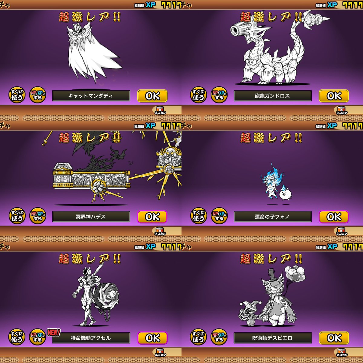 超ネコ祭 レアチケ50+1連 超激レア6体(うち新規1体、限定1体) …新規1体