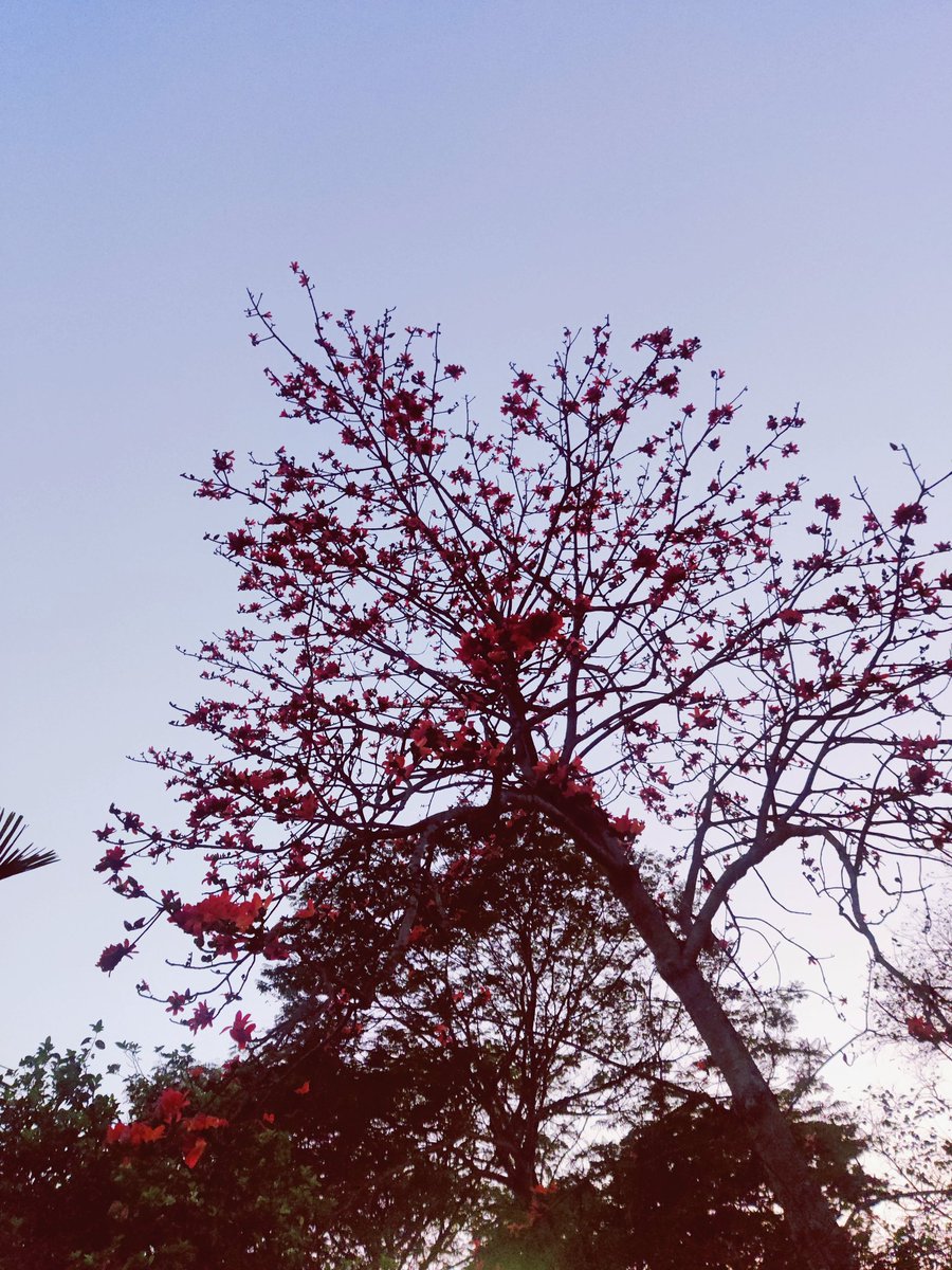 Sonia Dogra tweet media