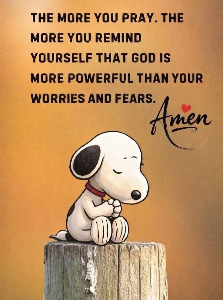 Snoopy Vibes tweet media