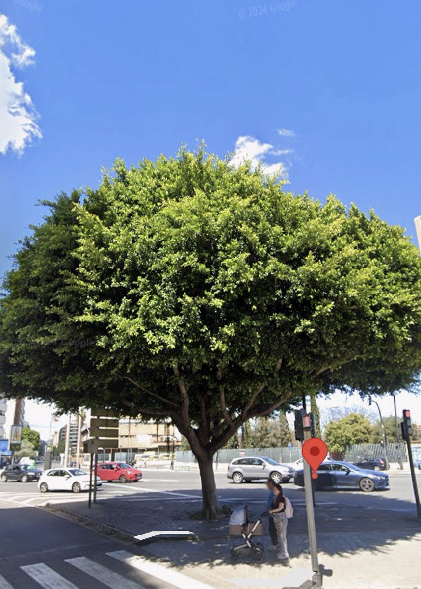 Jose Tomás tweet media