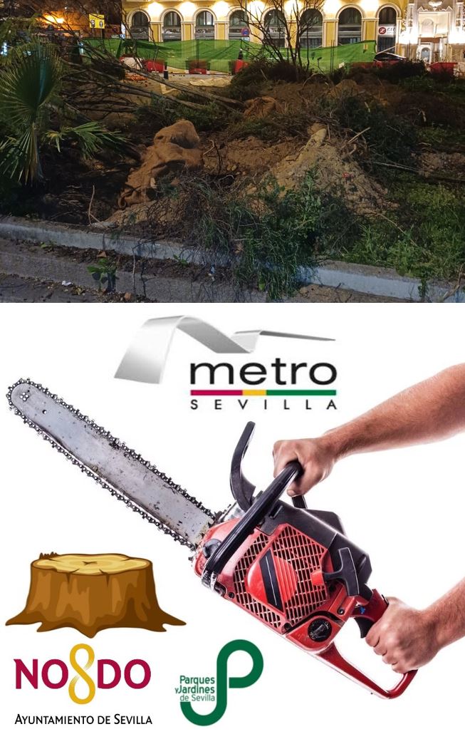 ActionsFFuture's tweet photo. @SOSterritorios @jlsanzalcalde @Ayto_Sevilla Lo de esta mediana, es ya de #MalaLeche.
El #PP de #Sevilla y el de #Andalucía NO ven necesario utilizar #Tuneladoras para la construcción del #Metro.
Mejor a cielo abierto con túneles de pantallas, masacrando más de mil #Árboles y embolsarse el dinero.
Son el #ICE del #Arbolado. https://t.co/iAA4U612IJ