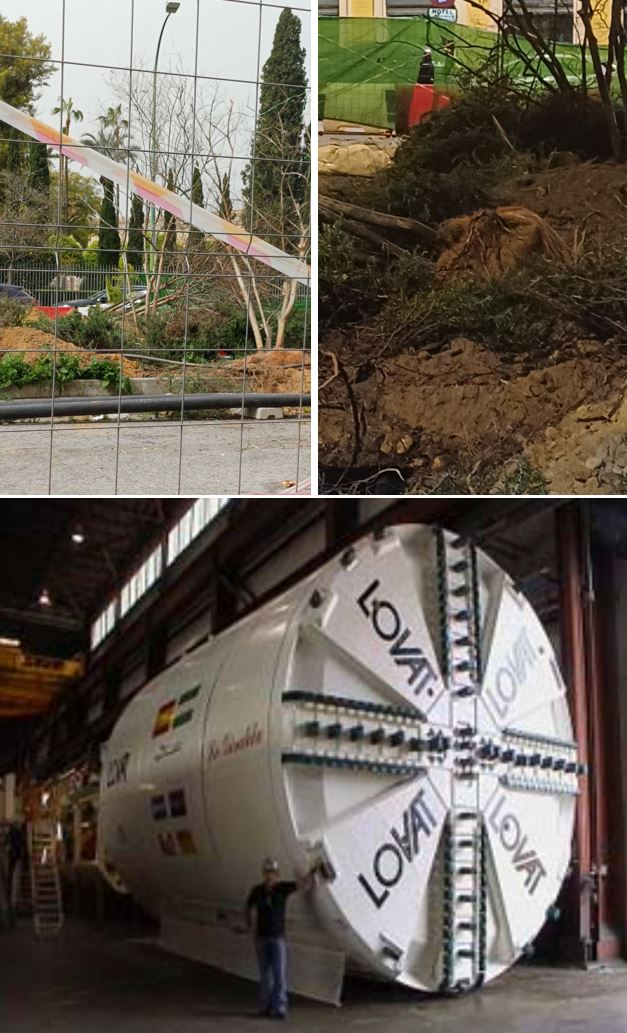 ActionsFFuture's tweet photo. @SOSterritorios @jlsanzalcalde @Ayto_Sevilla Lo de esta mediana, es ya de #MalaLeche.
El #PP de #Sevilla y el de #Andalucía NO ven necesario utilizar #Tuneladoras para la construcción del #Metro.
Mejor a cielo abierto con túneles de pantallas, masacrando más de mil #Árboles y embolsarse el dinero.
Son el #ICE del #Arbolado. https://t.co/iAA4U612IJ