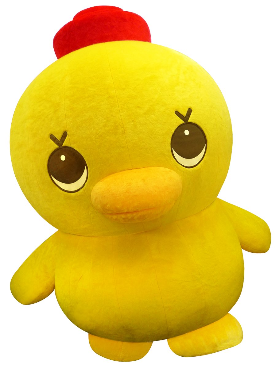 teniteo NEWS［テニテオ］ tweet media