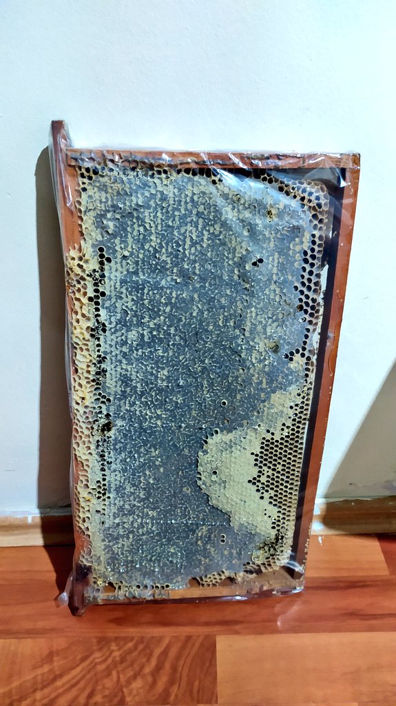 MKoroglu4646's tweet photo. Binboğa dağlarında binbir çeşit çiçekten oluşan katkısız, doğallığı, aroması ve tadı ile il birinciliğini almış, yüksek rakımlı yaylada yetiştirdiğimiz petek ve süzme balımızın satışı devam etmektedir. 
Siparişleriniz için dm 
05530922449
(Rt yapıp takip edelim lütfen) https://t.co/w4Ku8HI3rT