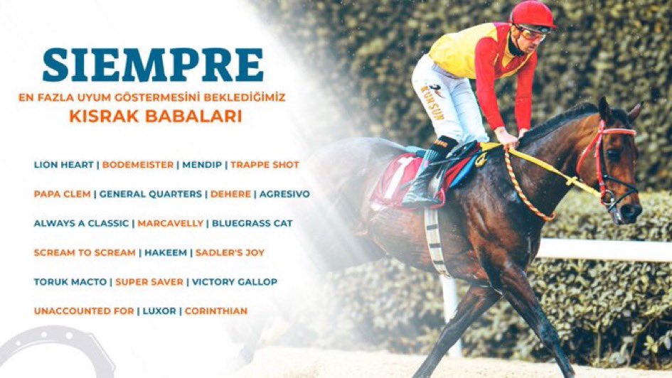 Capaci Stud 🇹🇷 tweet media