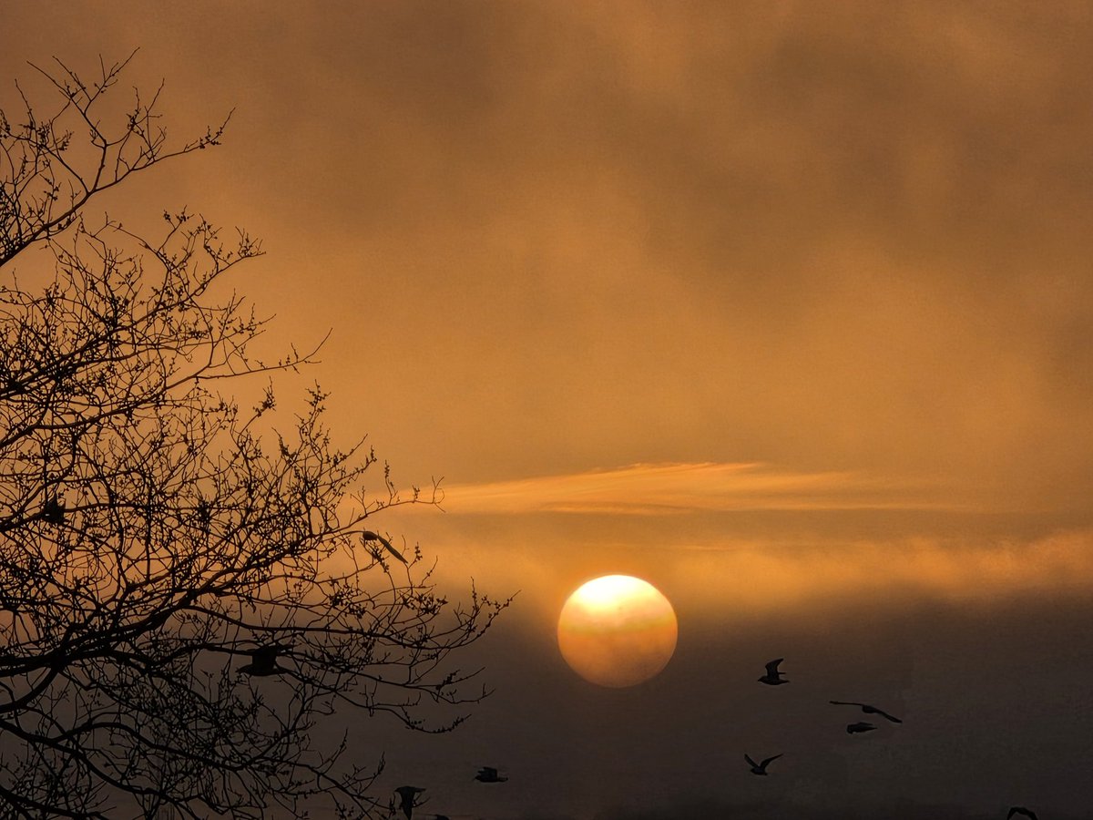 StormchaserAl's tweet photo. @bbcweather @Shefali_oza Beautiful sunrise, enhanced by #Saharandust maybe? ☀️🟠 #weather #weatherwatchers @BibbeysWildFarm https://t.co/zTUfVxt8YS