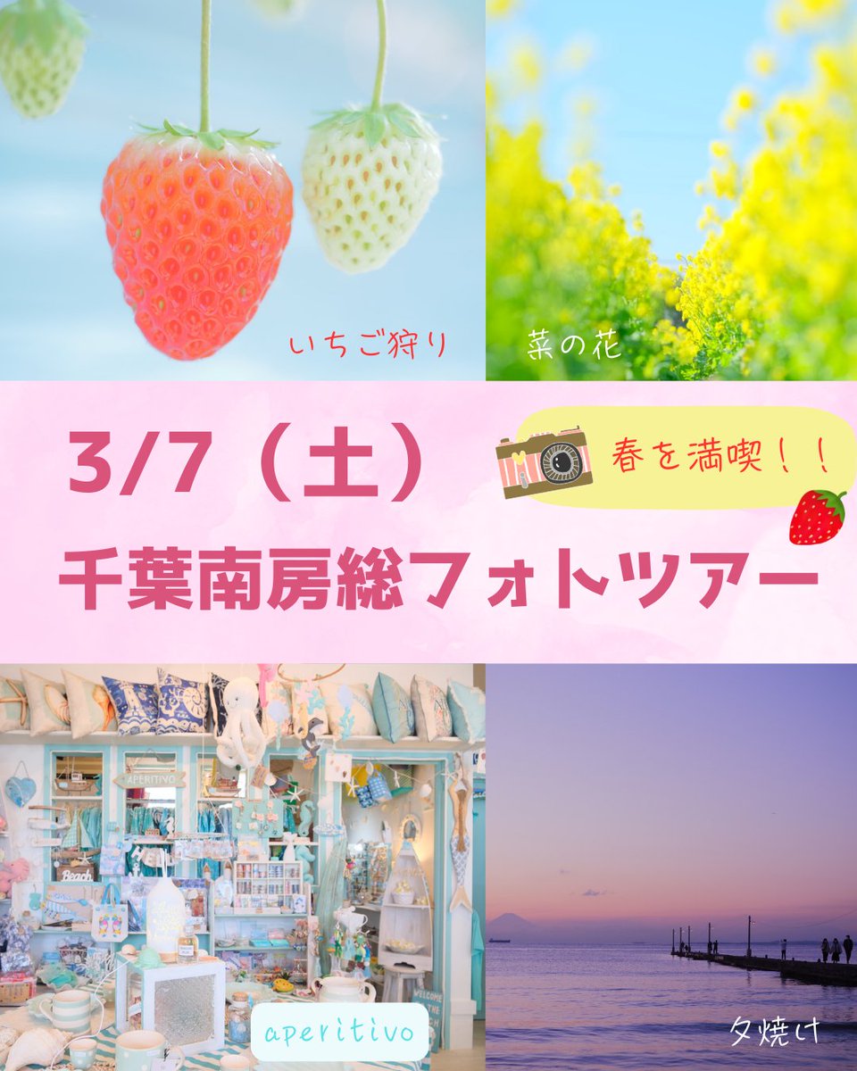 AlohaPhotoWorks's tweet photo. ◆📷3/7（土）千葉南房総フォトツアーを開催🍓◆
千葉の南房総でいちご狩りや季節のお花撮影、海雑貨のアペリティーボさんなどに
伺います。カメラを持って、プチトリップを一緒に楽しみませんか？
お申込みはこちら↓
https://t.co/jFLOzERHrW https://t.co/XLGwsx9jYI