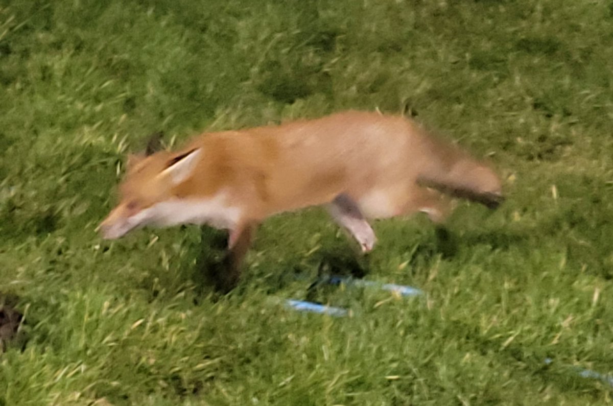 Prestwich Heys Fans Page tweet media