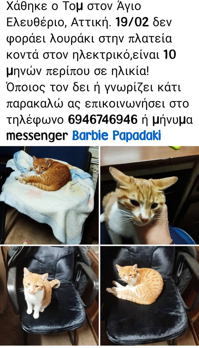 🆘🆘🆘#χαθηκε στον Άγιο Ελευθέριο Αττικής 👇👇 👇