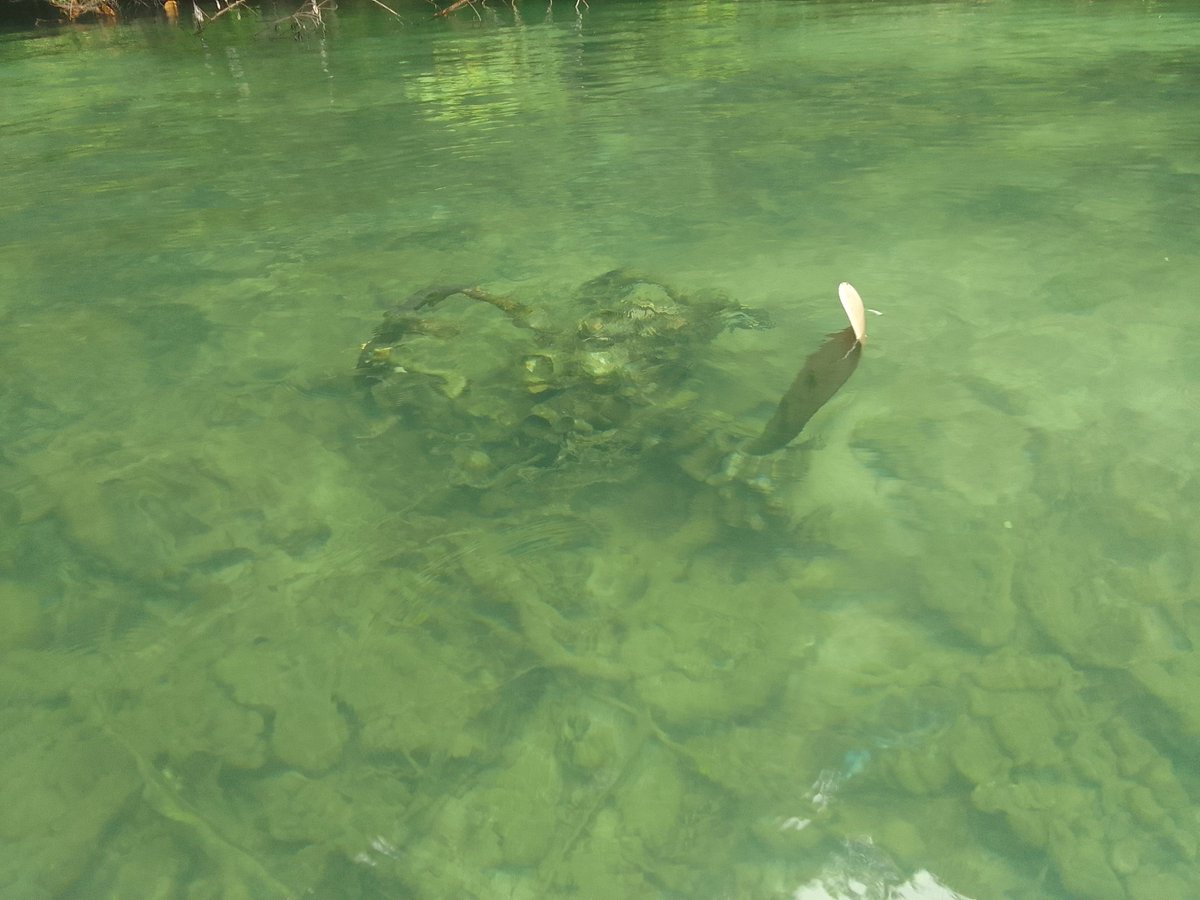 パラオのマニアック戦跡シリーズ 41 アイライ州の南方沖に水没している