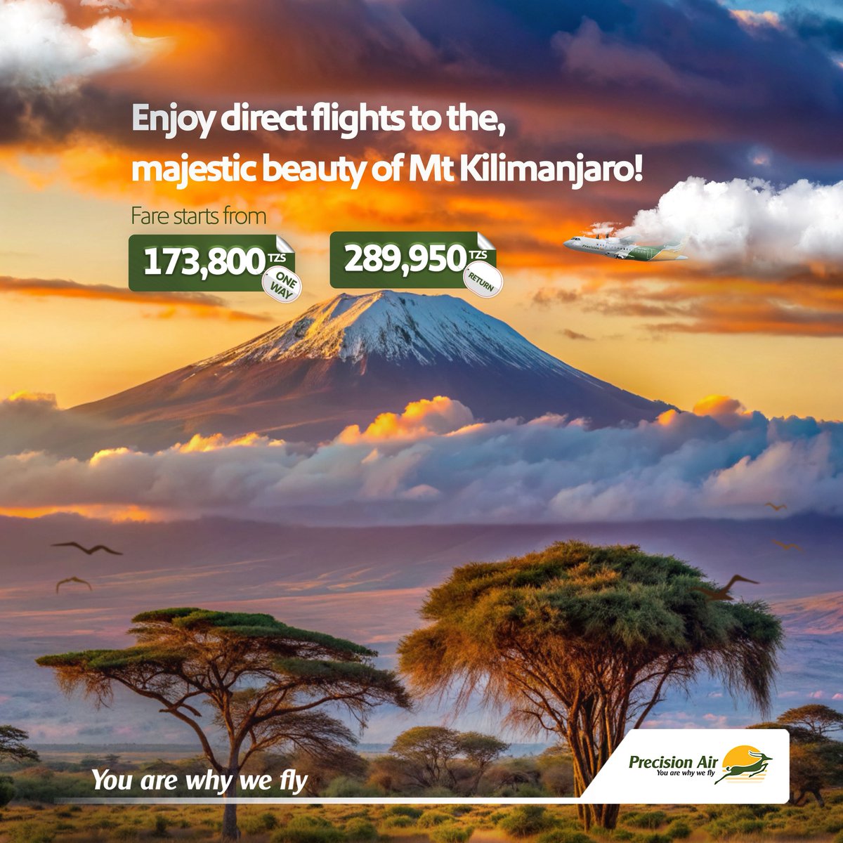 Precision Air tweet media