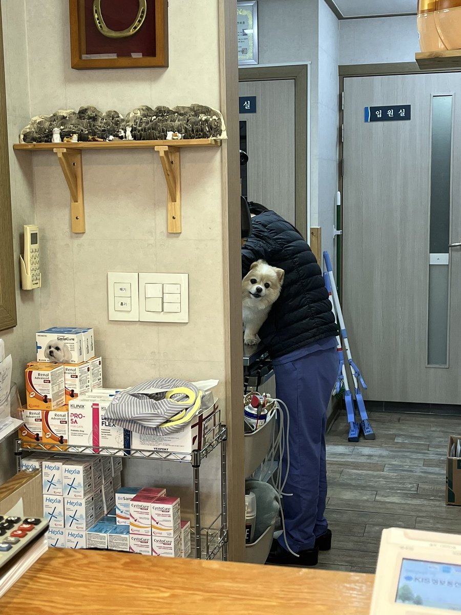 똥꼬짜는중 무서워죽겠대