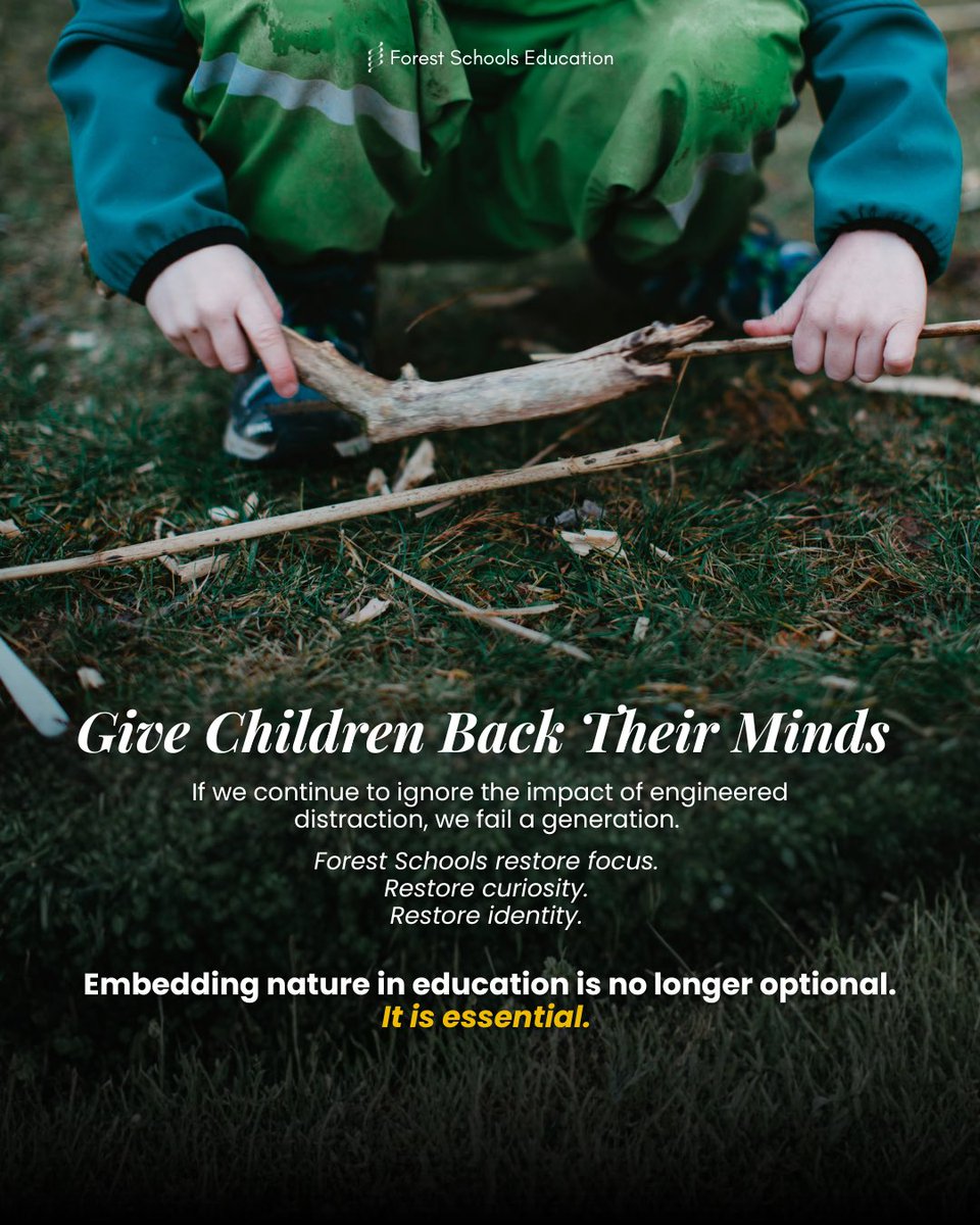 Forest Schools tweet media