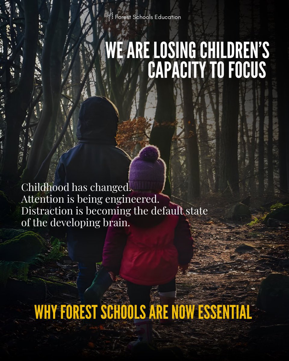 Forest Schools tweet media
