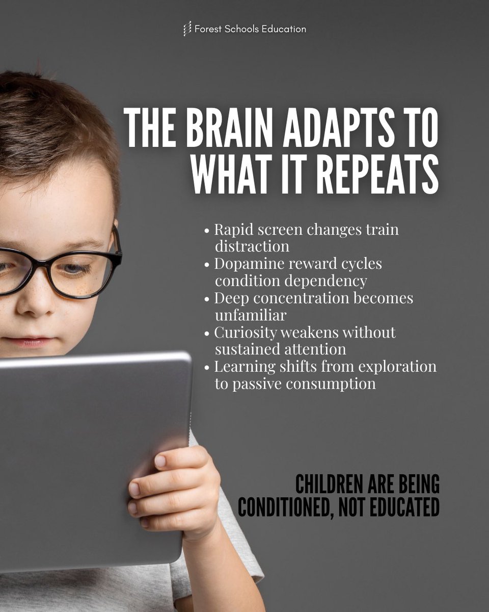 Forest Schools tweet media