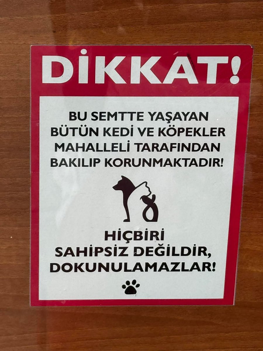 Burası İstanbul
Bebek 👏👏👏🥰❤️😍