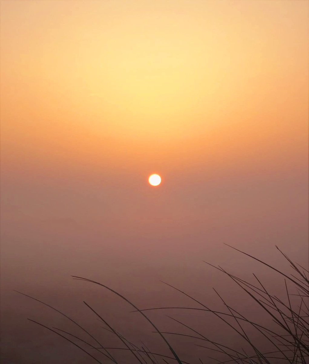 HettieZurMuhlen's tweet image. 🙏De ochtendmist trekt op; de lucht is al blauw. Weer een prachtige dag vandaag 🌞🎉
#zonsopkomst #goud #carpeDiem