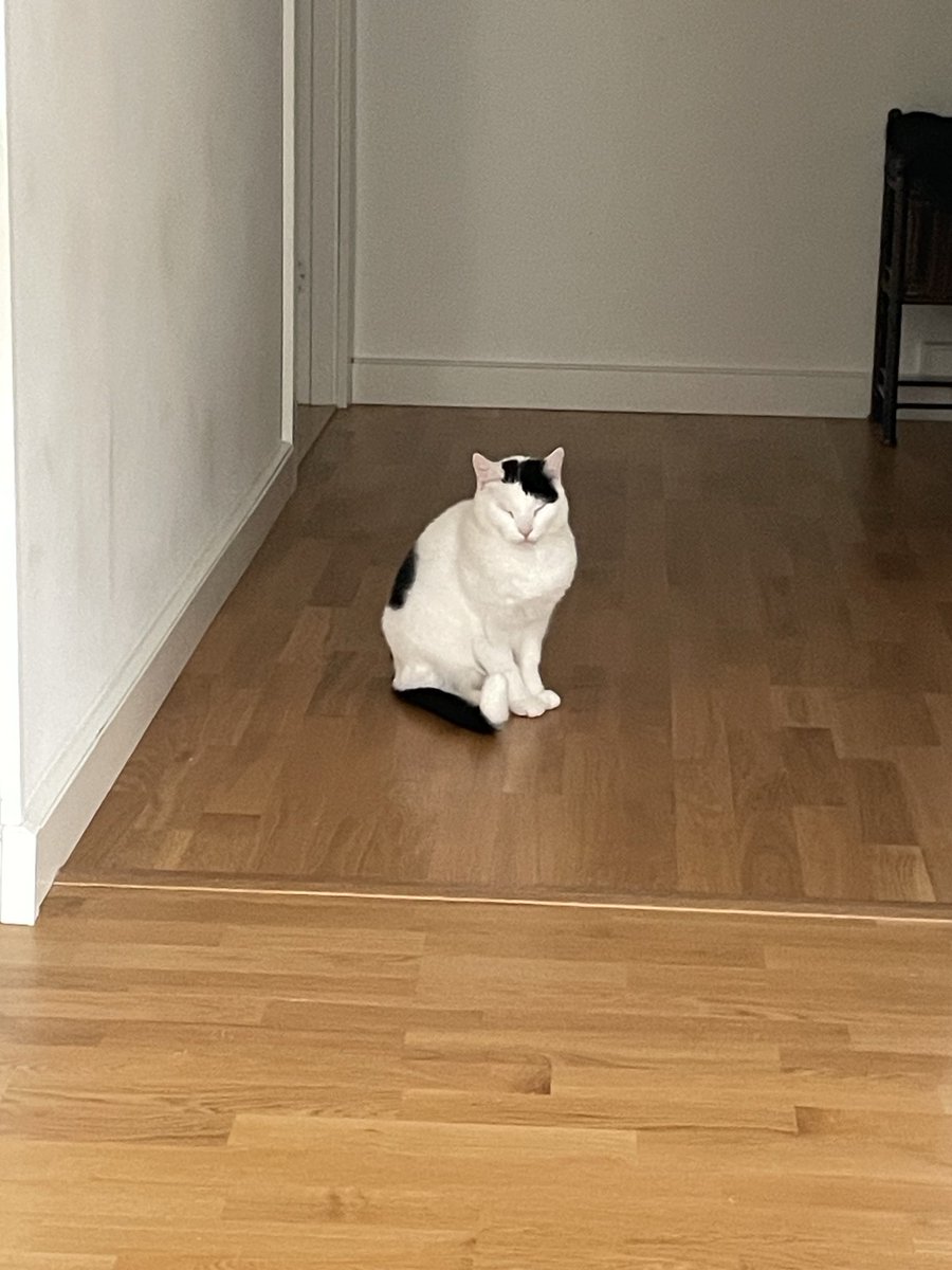 Var och hälsade på Spurre igår, han hälsar att nya bostaden får duga, det saknas golvvärme i duschrummet😼